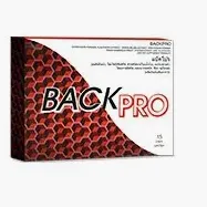 Back Pro — รูปภาพ 2