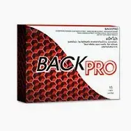 Back Pro — รูปภาพ 3
