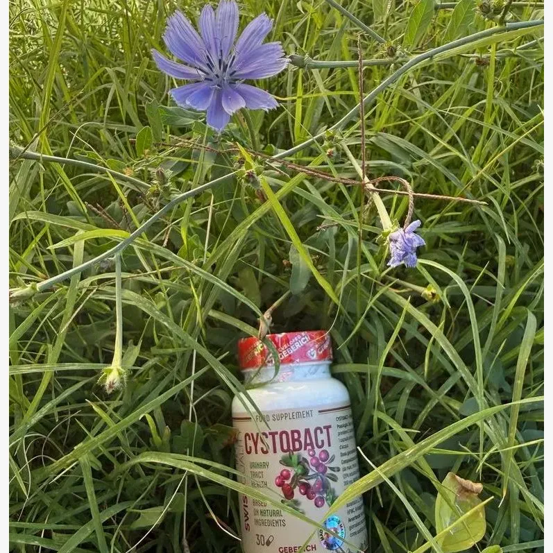 Cystobact — fotografia 1