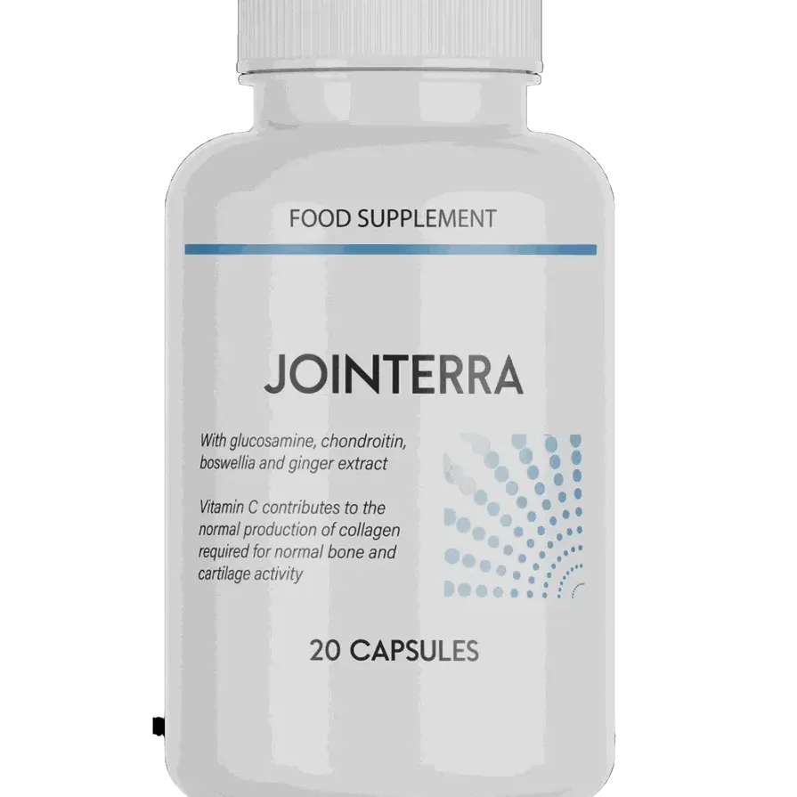Jointerra