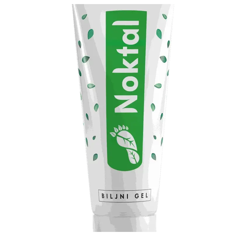 Noktal