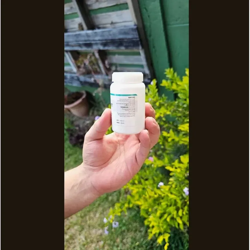 Reocuvit — imagen 3